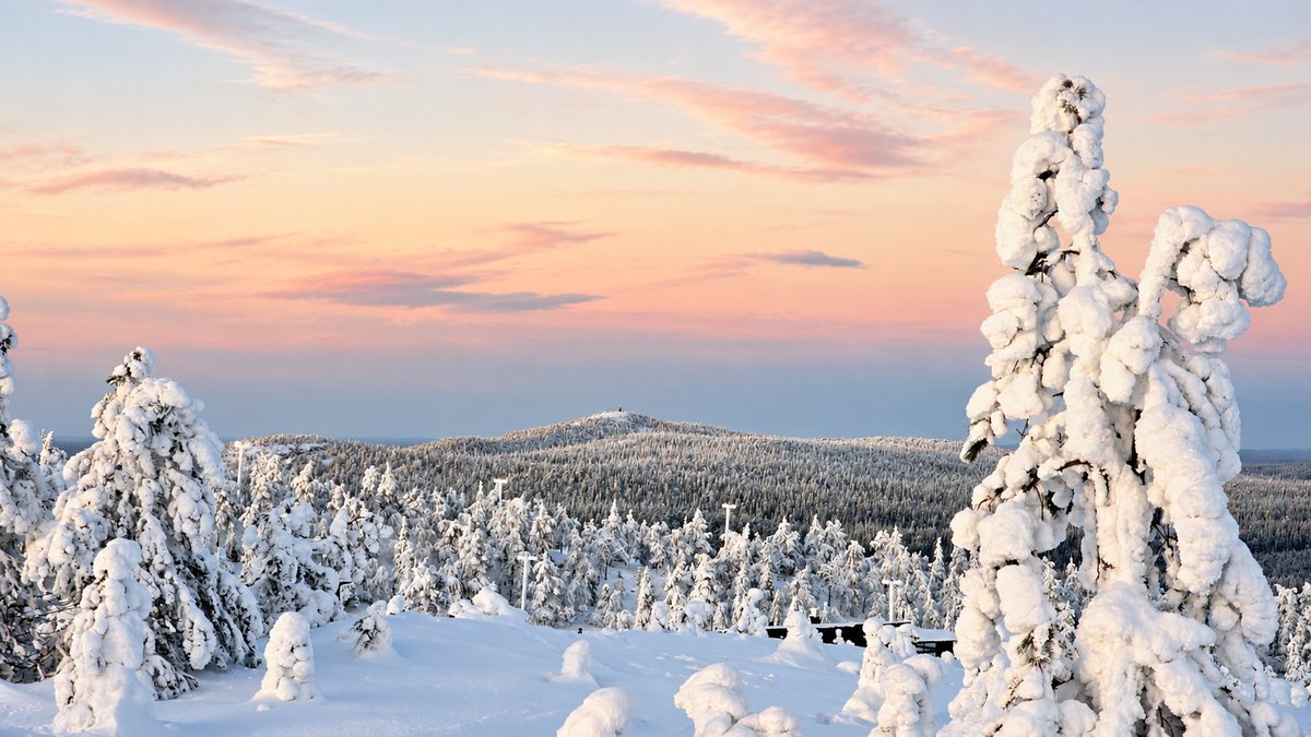 Snow-laden trees and a forested ridge beneath a pale pink winter sky.